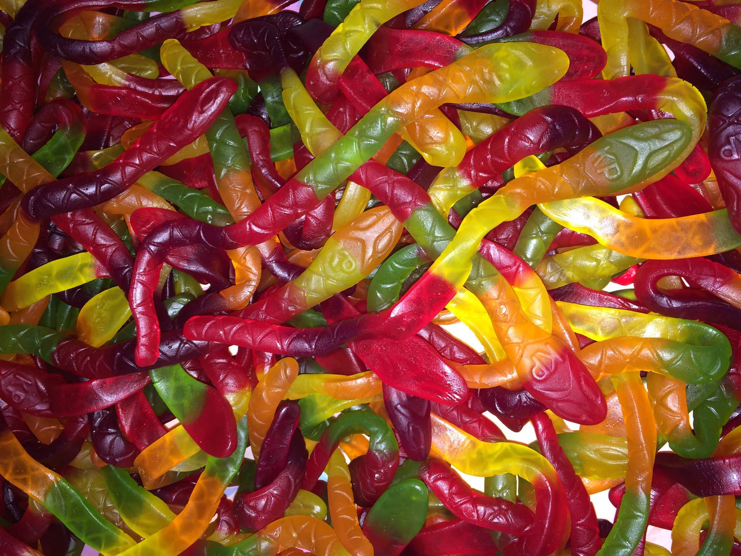 Allens Killer Pythons